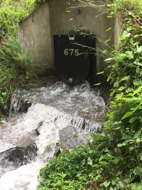 Torrent Floodgates Fish Friendly Flood Gate